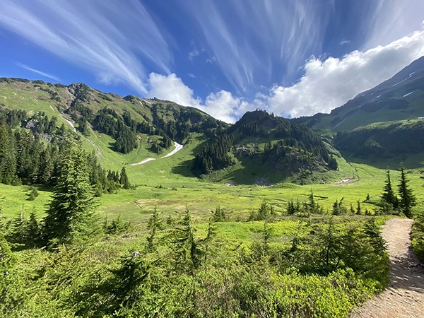 Image 3 for about section