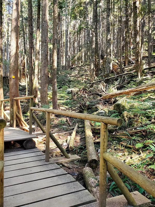 Image 4 for about section